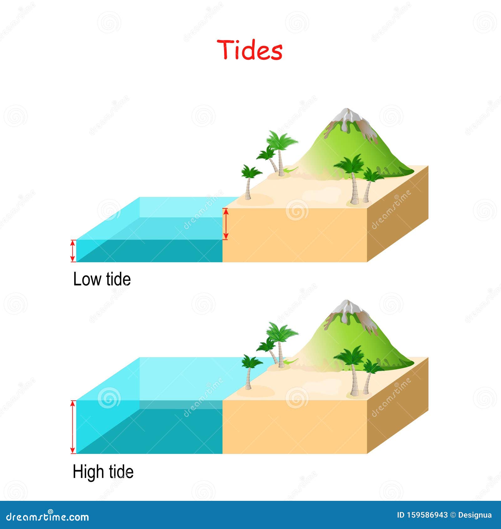 high and low tides. water Ã¢â¬â¹Ã¢â¬â¹level